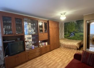 2-комнатная квартира на продажу, 52 м2, посёлок городского типа Новоспасское, площадь Макаренко, 44