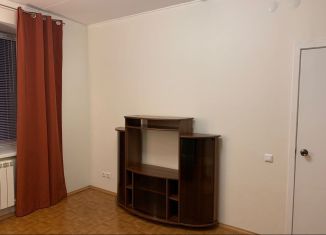 1-комнатная квартира в аренду, 33 м2, Екатеринбург, улица Татищева, 100, улица Татищева
