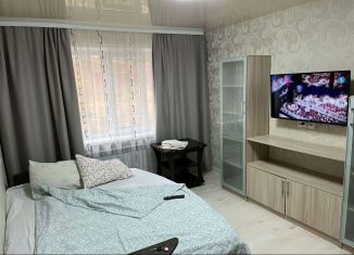1-комнатная квартира в аренду, 35 м2, Свердловская область, улица Машиностроителей, 8