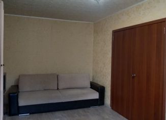 Продается 2-комнатная квартира, 46.4 м2, Нижний Новгород, проспект Ленина, 61к2, метро Двигатель Революции