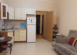 Квартира в аренду студия, 31 м2, Санкт-Петербург, проспект Кузнецова, 14к2, ЖК Два капитана