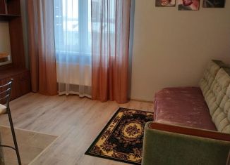 Квартира в аренду студия, 25 м2, Люберцы, Инициативная улица, 7В, ЖК Облака