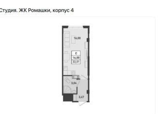 Квартира на продажу студия, 22.5 м2, Ленинградская область