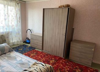 Сдам в аренду 1-комнатную квартиру, 30 м2, Новосибирск, улица Революции, 7, улица Революции