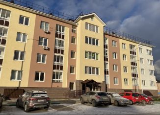 Продажа 1-комнатной квартиры, 34 м2, сельский посёлок Новинки, 2-я Дорожная улица, 16, ЖК Новинки Смарт Сити