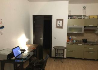 Аренда квартиры студии, 28 м2, Мурино, Воронцовский бульвар, 12, ЖК Гринландия