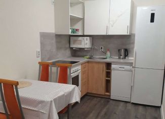 Сдаю в аренду двухкомнатную квартиру, 35 м2, поселок Бугры, Гаражный проезд