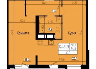 Продается 1-ком. квартира, 57.1 м2, посёлок Парголово, Ольгинская дорога, 3/20