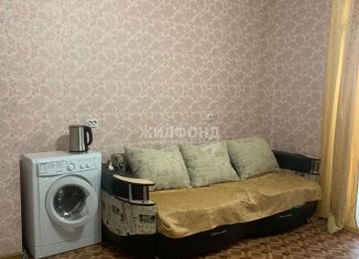 Сдается в аренду квартира студия, 32 м2, Новосибирск, Танковая улица, 36, Танковая улица