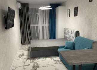 Сдается квартира студия, 28 м2, Ростов-на-Дону, Береговая улица, 73с1, Пролетарский район