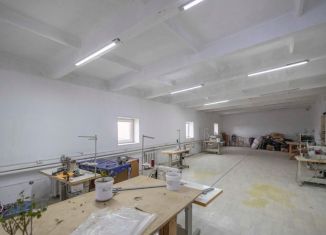 Сдается в аренду помещение свободного назначения, 530 м2, село Нижегородка, улица Кузнецовская Поляна, 5