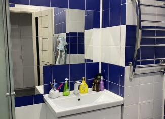 Продажа квартиры студии, 24 м2, Кудрово, ЖК Вернисаж, Пражская улица, 9