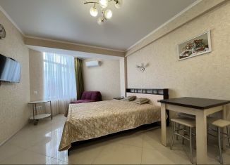 Квартира в аренду студия, 30 м2, Севастополь, улица Челнокова, 19А, ЖК Престиж