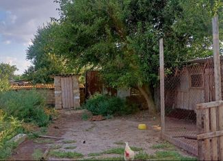 Продажа дома, 55 м2, поселок Лола, Восточная улица