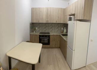 Сдается в аренду 2-ком. квартира, 44 м2, Петрозаводск, Береговая улица, 2к1, Октябрьский район