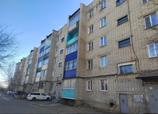 Двухкомнатная квартира на продажу, 50 м2, Забайкальский край, улица Энтузиастов, 54