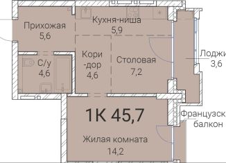 Продам 1-ком. квартиру, 45.7 м2, Новосибирская область, Овражная улица, 2А