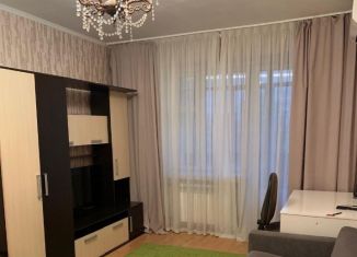 Аренда 1-комнатной квартиры, 40 м2, Москва, Нижняя улица, 6, Нижняя улица