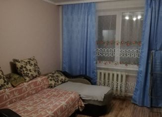 Продам однокомнатную квартиру, 29 м2, Новосибирская область, проспект Мира, 58