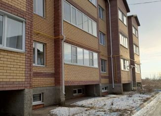 Продажа однокомнатной квартиры, 31 м2, деревня Берёзовка, Молодёжная улица, 44