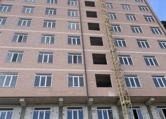 Однокомнатная квартира на продажу, 55.8 м2, село Агачаул, Еловая улица, 8