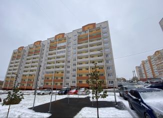 Продам двухкомнатную квартиру, 70 м2, деревня Новосельцы, Юбилейная улица, 16