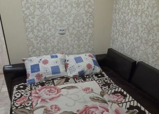 Сдам в аренду однокомнатную квартиру, 30 м2, Новосибирская область, улица Островского, 103