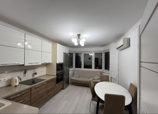 Аренда 2-комнатной квартиры, 60 м2, Москва, Электролитный проезд, 16к3, ЖК Вершинино