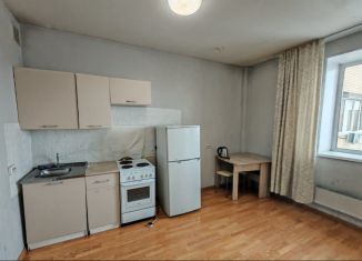 Квартира в аренду студия, 35 м2, Хакасия, улица Некрасова, 18