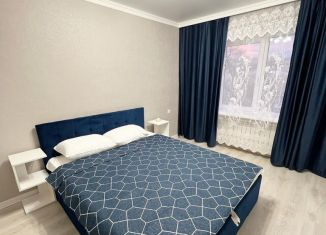 Сдам в аренду 2-ком. квартиру, 48 м2, Кисловодск, проезд Цандера, 2