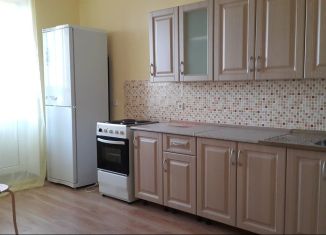 Сдается 2-ком. квартира, 56 м2, Санкт-Петербург, Русановская улица, 16к1, метро Обухово