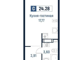 Продажа квартиры студии, 24.3 м2, Ленинградская область