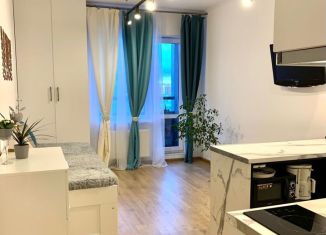 Квартира в аренду студия, 25 м2, Санкт-Петербург, Плесецкая улица, 20к1, метро Комендантский проспект