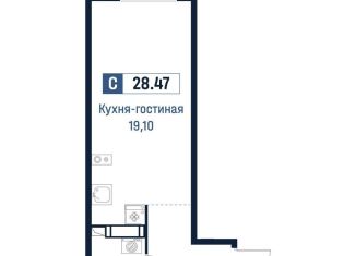 Продается квартира студия, 28.5 м2, Ленинградская область