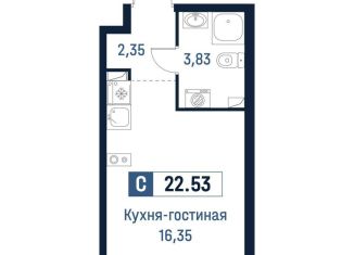 Продаю квартиру студию, 22.5 м2, Ленинградская область