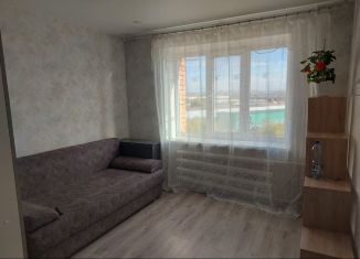 Квартира в аренду студия, 17 м2, Пенза, улица Калинина, 152