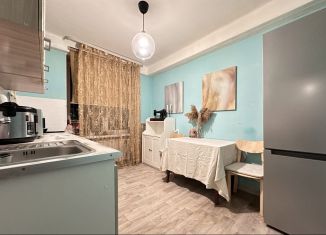 Сдается 1-ком. квартира, 31 м2, Санкт-Петербург, Пискарёвский проспект, 40