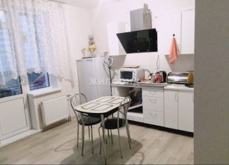 Продажа 1-комнатной квартиры, 33 м2, Новосибирск, улица Бородина, 54