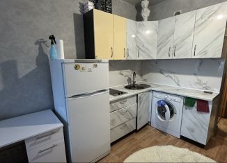 Сдаю в аренду квартиру студию, 25 м2, Красноярск, 3-я Дальневосточная улица, 2А, Центральный район