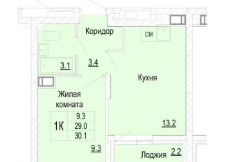 Продается 1-комнатная квартира, 30.1 м2, деревня Кузнечиха