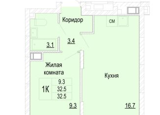 1-комнатная квартира на продажу, 32.5 м2, Нижегородская область