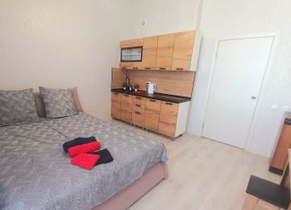 Сдам в аренду квартиру студию, 30 м2, Пермь, улица Герцена, 4