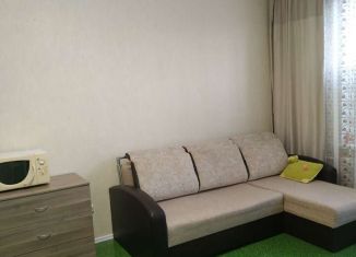 Сдам квартиру студию, 26 м2, Сертолово, Тихвинская улица, 8к5