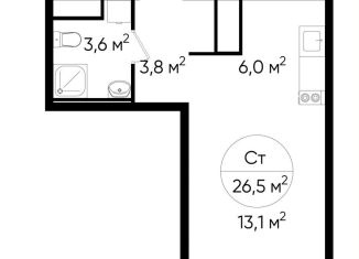 Продаю квартиру студию, 26.5 м2, Московский, ЖК Первый Московский