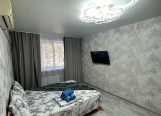 Сдается в аренду 1-ком. квартира, 30 м2, Симферополь, улица Тренёва, 2