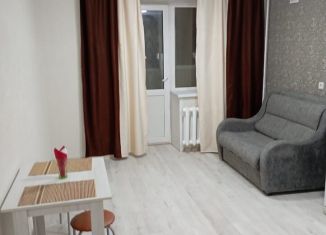 Сдается квартира студия, 26 м2, Новоалтайск, улица Анатолия, 94