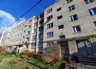 Двухкомнатная квартира на продажу, 46 м2, Электрогорск, улица Ухтомского, 18