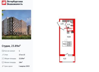 Продаю квартиру студию, 23.9 м2, Санкт-Петербург, Дальневосточный проспект, 23, Невский район