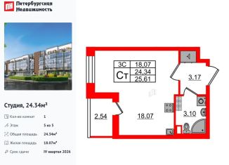 Продаю квартиру студию, 24.3 м2, Санкт-Петербург, Московский район