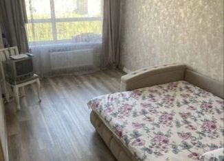 Сдача в аренду однокомнатной квартиры, 30 м2, Рязань, улица Александра Полина, 1, Московский район